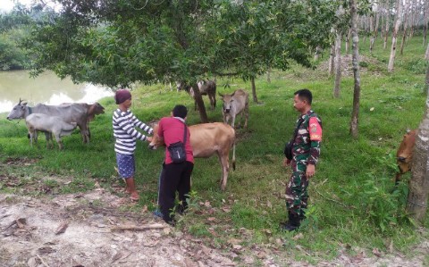 IMG-20220721-WA0018_copy_480x299