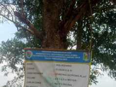 Kepala Desa Kalibening diduga Marup Anggaran DD Tahun 2024